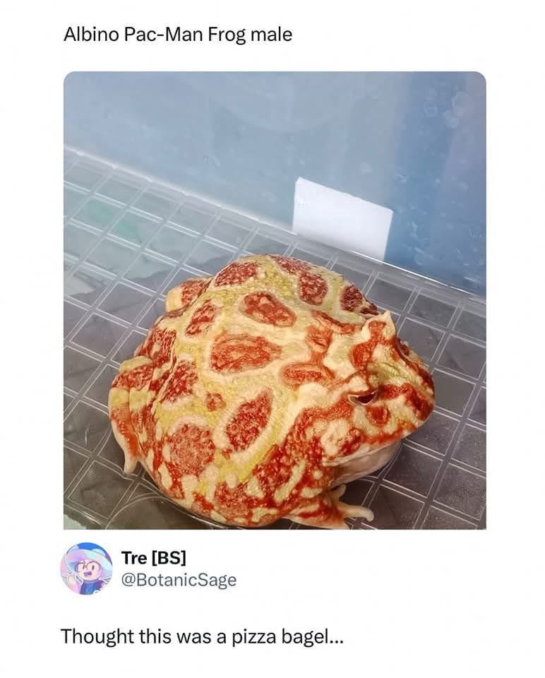 1746282900108.jpeg