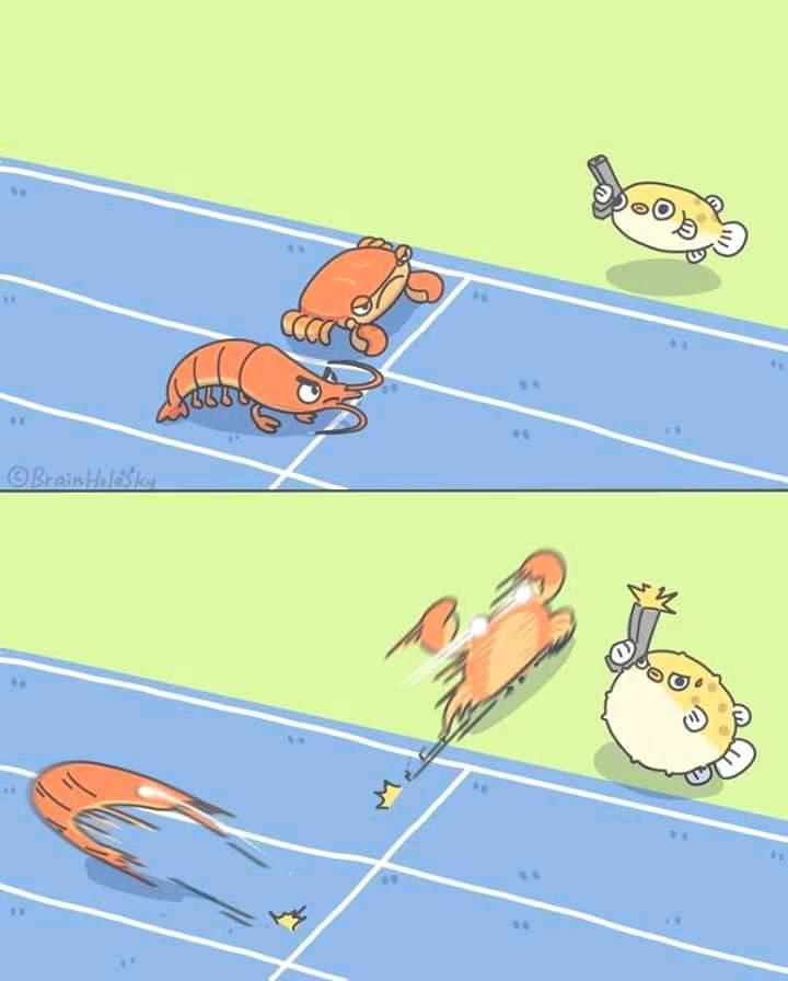 1746364713231.jpeg