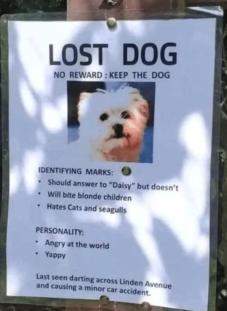 1746462237292.png