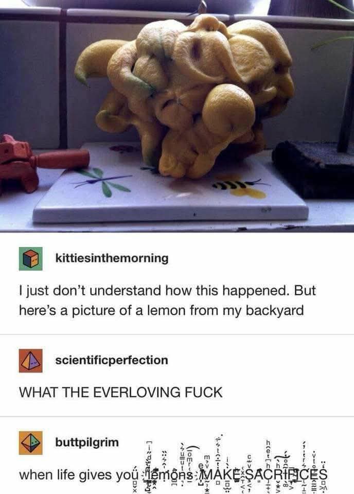 1746510004412.jpeg