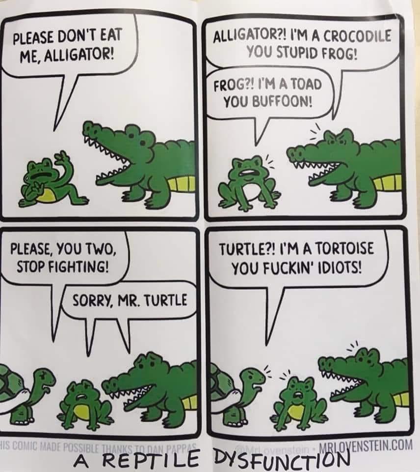 1746728250215.jpeg