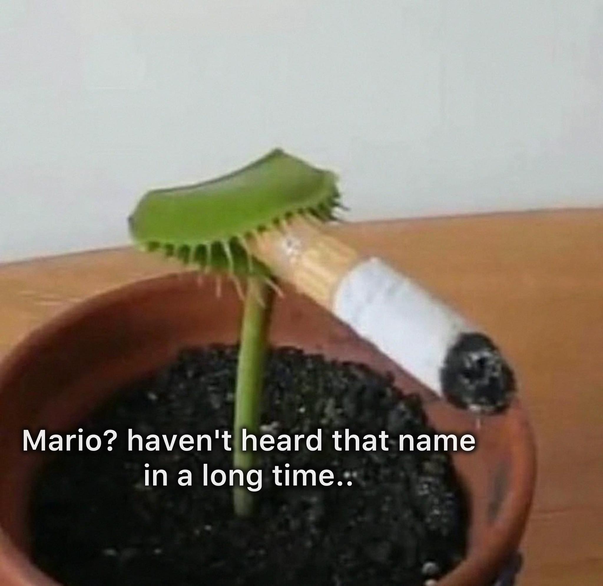 1746801446149.jpeg