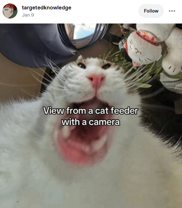 1746918274534.png