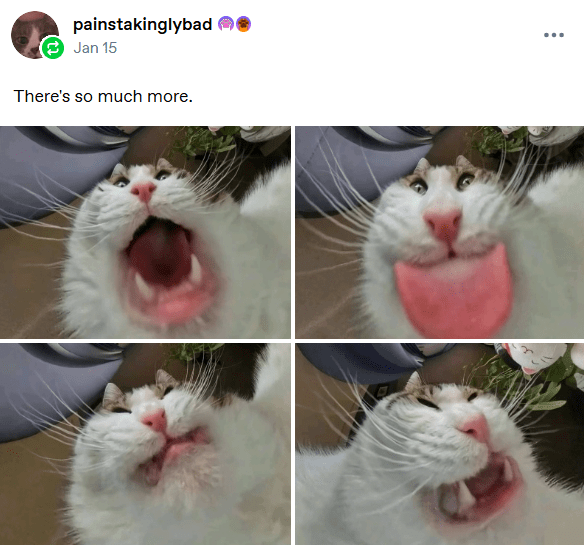 1746918284360.png
