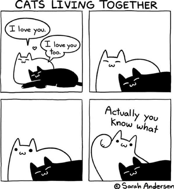 1747004026146.png