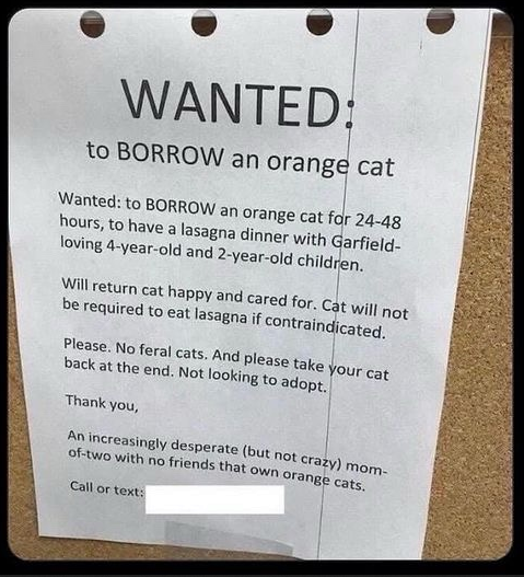 1747123748012.png