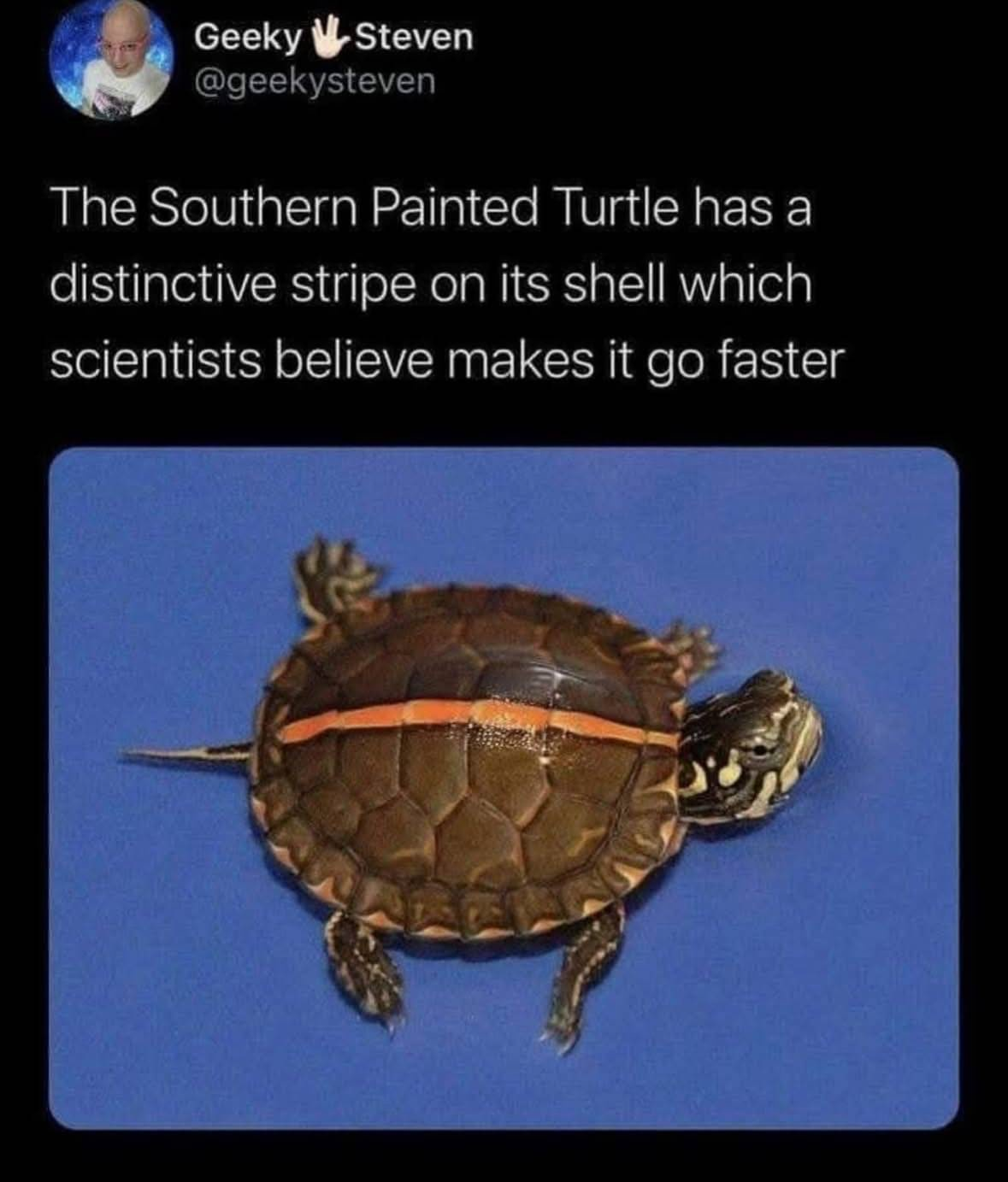 1747536033298.png