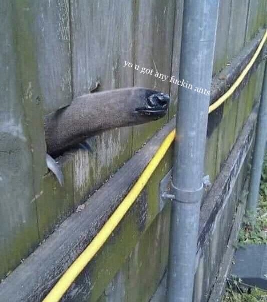 1747667181817.jpeg