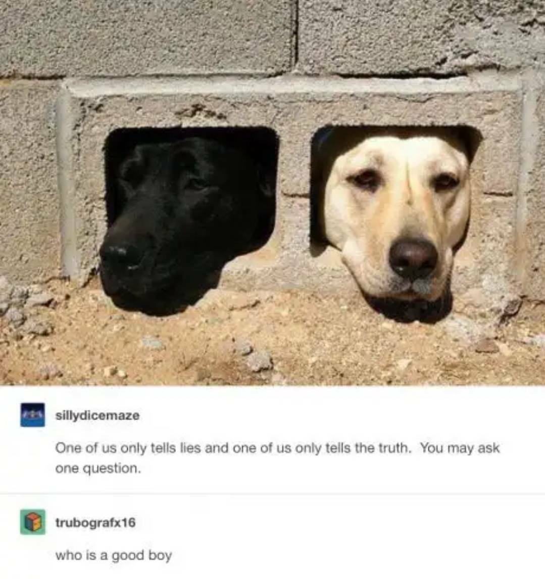 1747935029059.jpeg