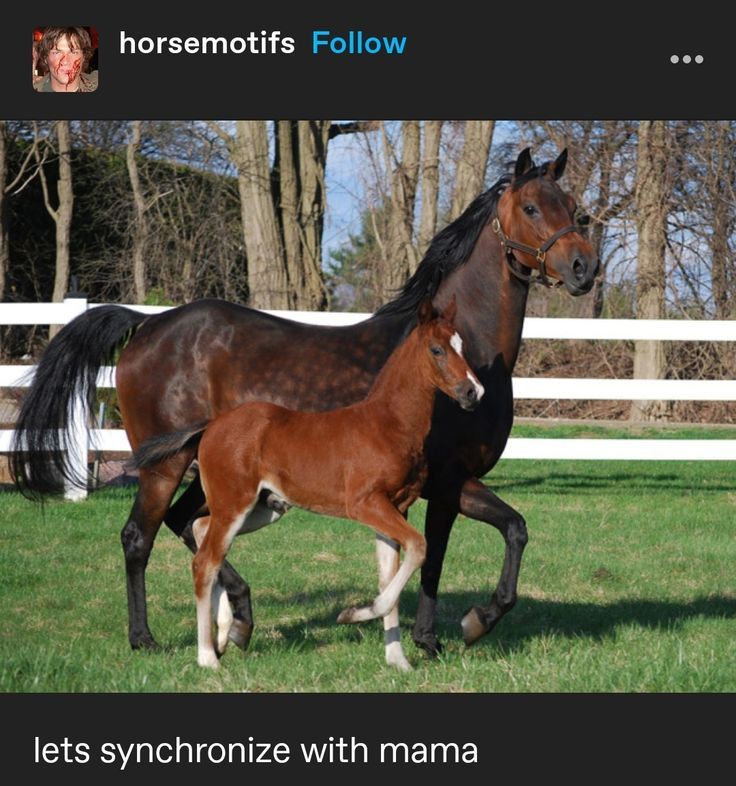 1747939091946.jpeg