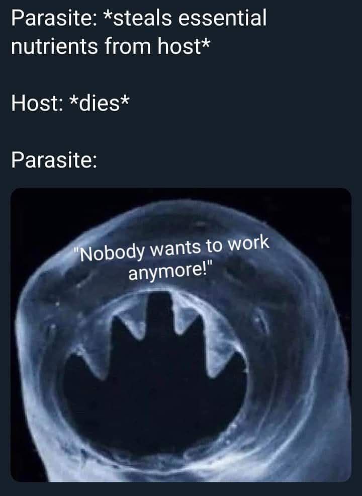 1748008134211.jpeg