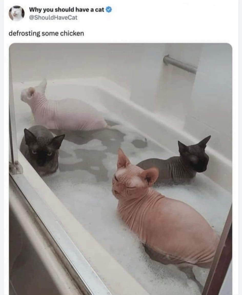 1748035590445.png