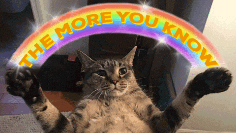 1748378833796.gif