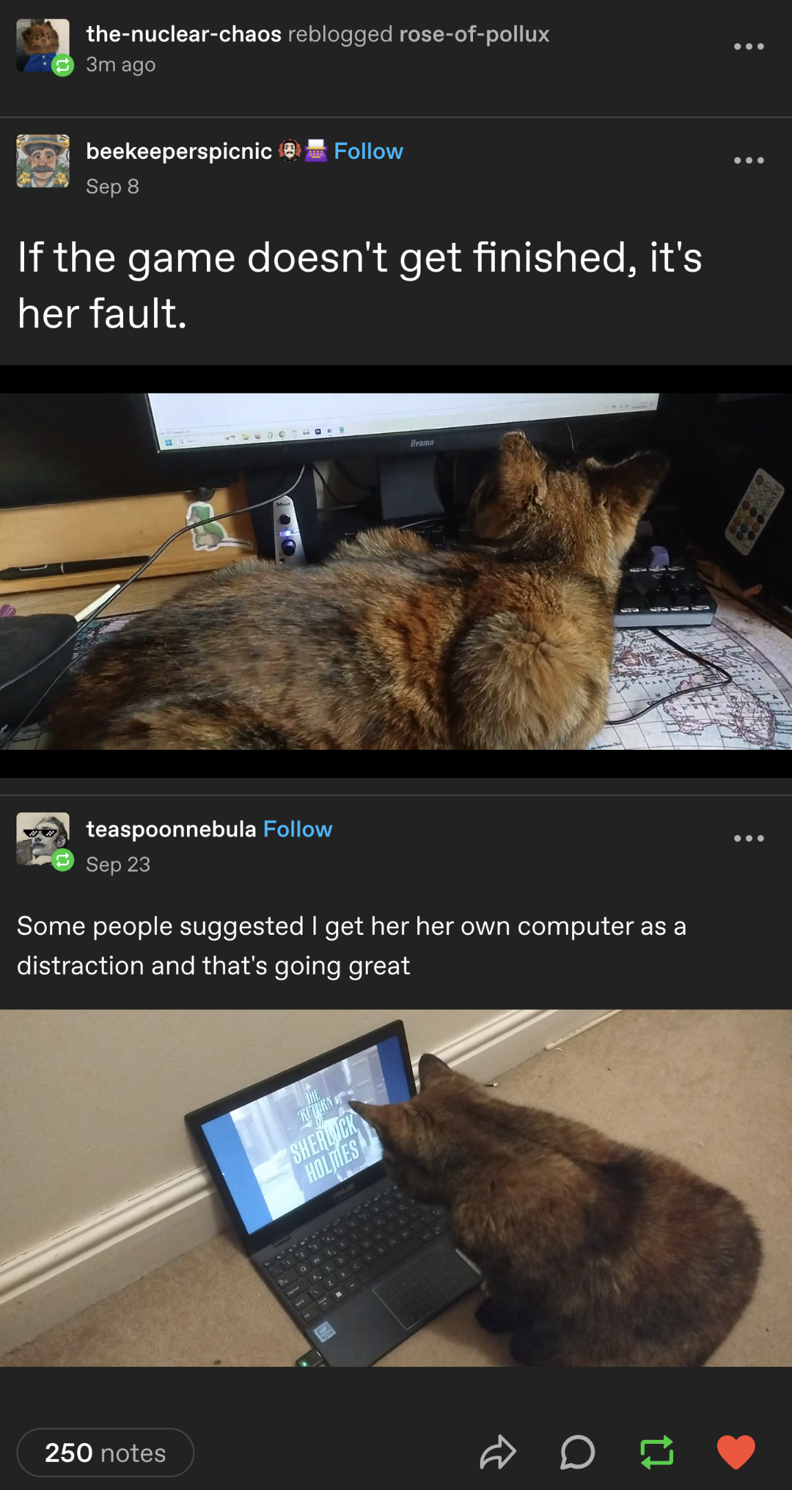1748407688606.png