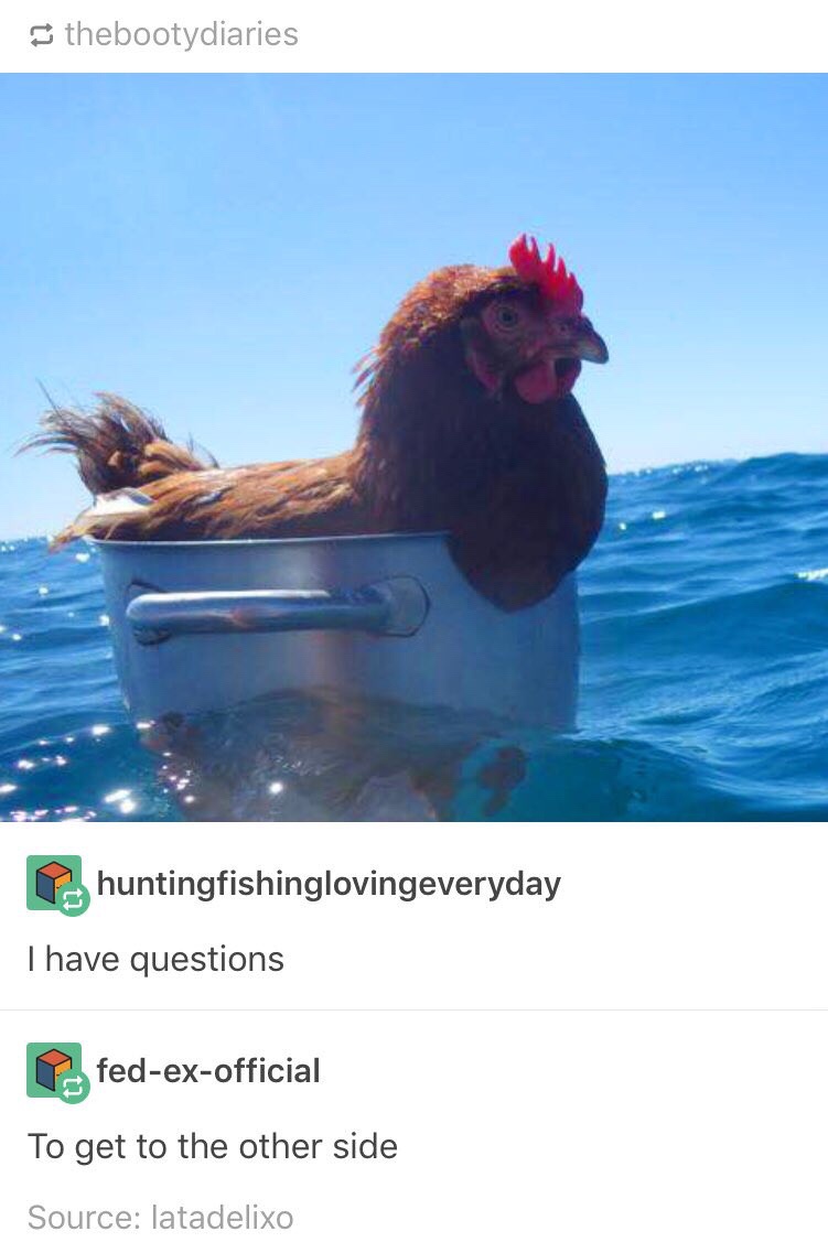 1748549003205.jpeg