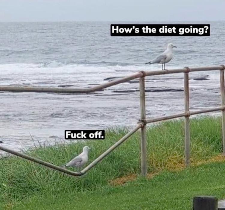 1748666818883.png