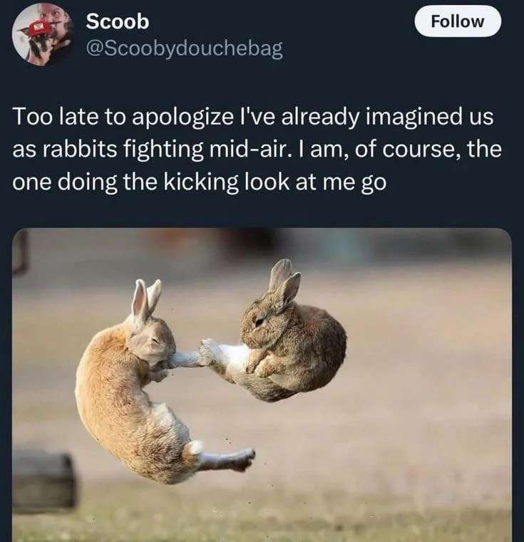 1749046810717.jpeg