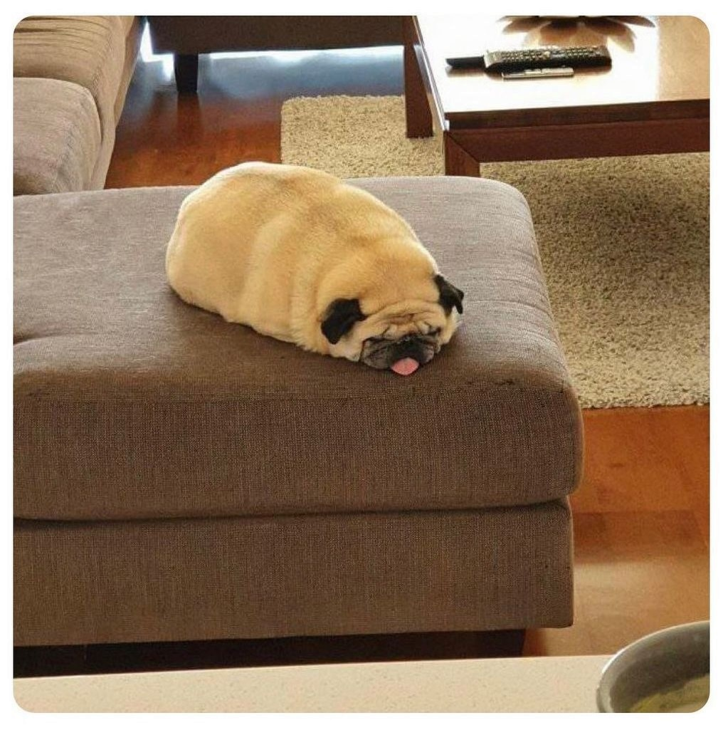 1749251007440.png