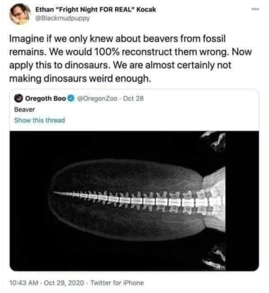 1749259678293.jpeg
