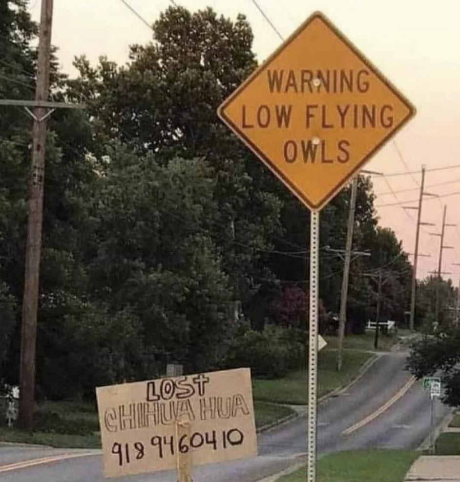 1749417675293.png