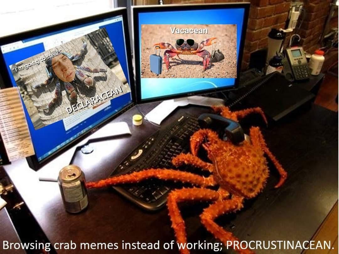 1749494427590.jpeg