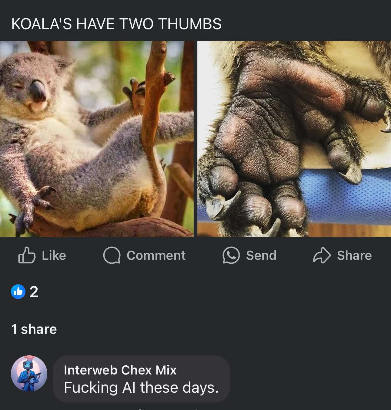 1749531553432.jpeg