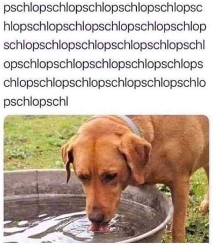 1749803157661.jpeg