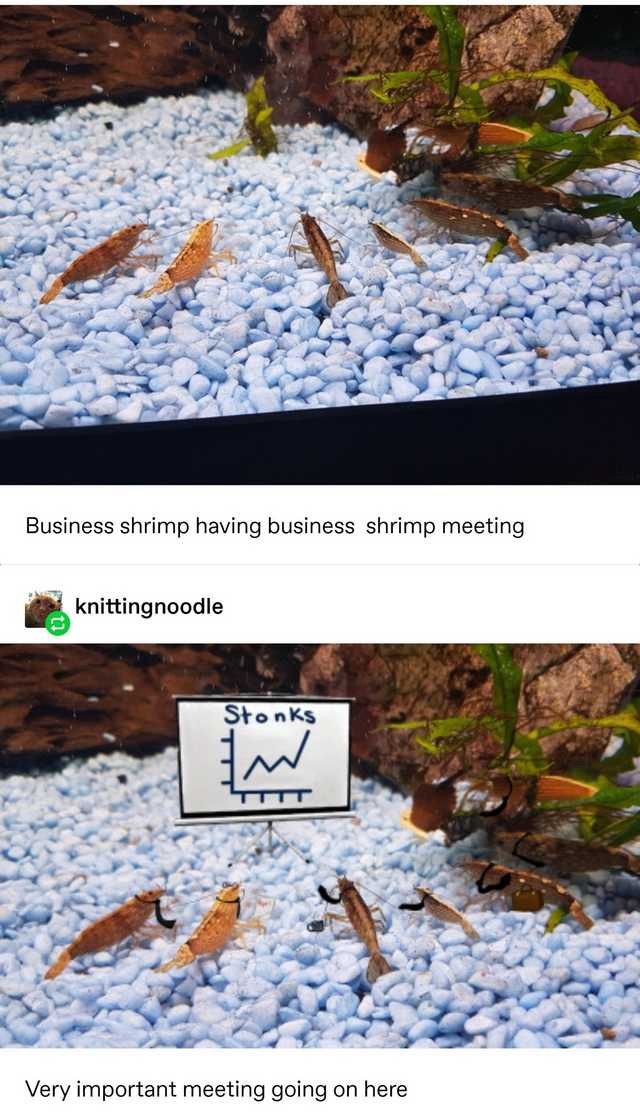 1750153765538.jpeg