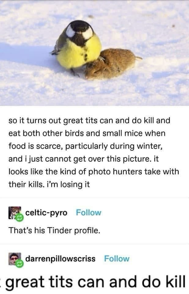 1750166184472.png