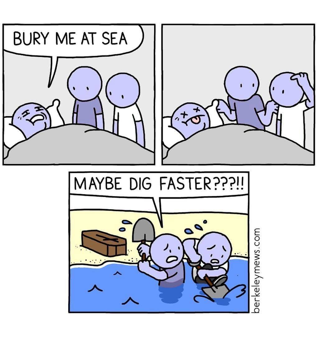 1750176492142.jpeg