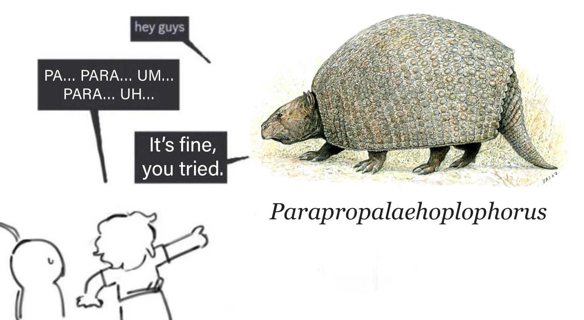 1750178878294.jpeg