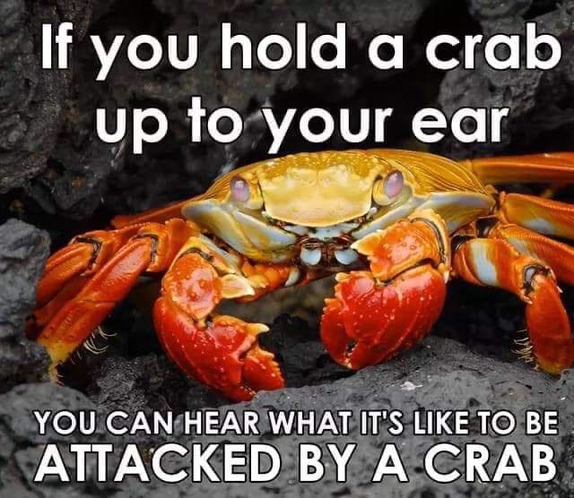 1750274711471.jpeg