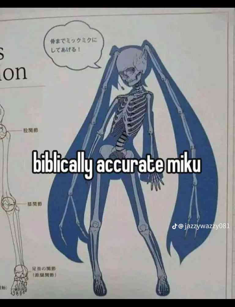 1750333197387.jpeg