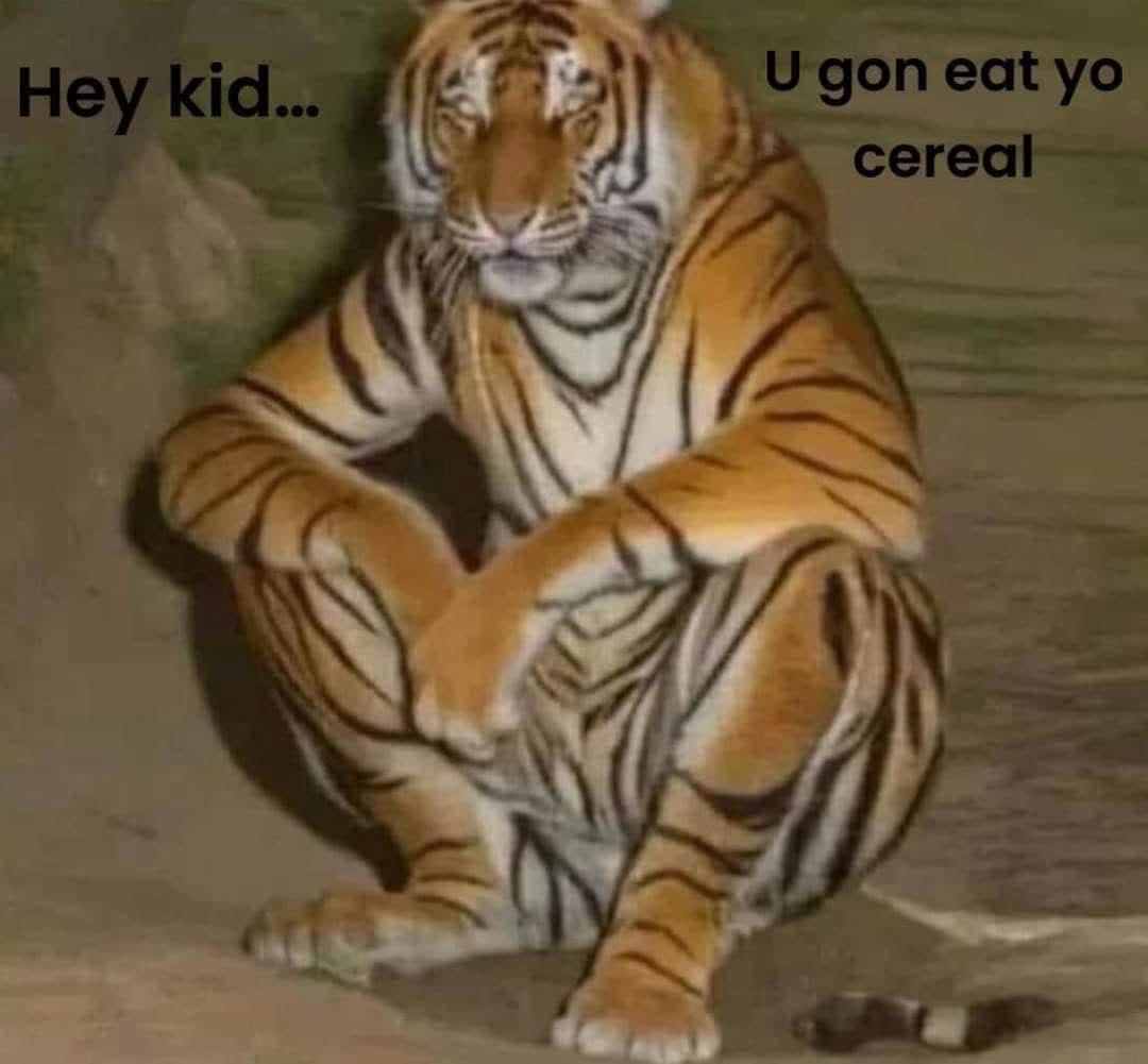1750338818651.jpeg