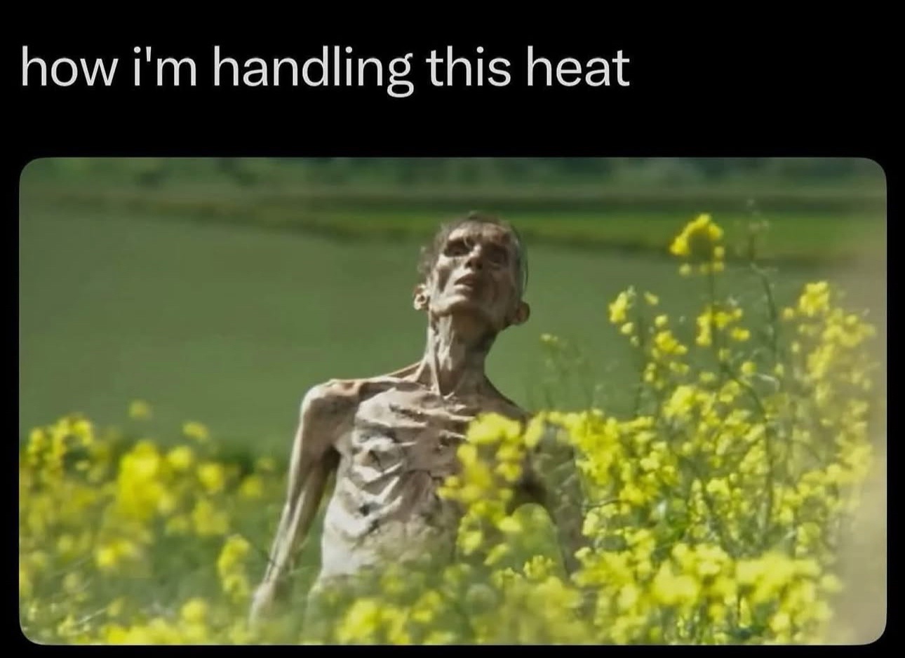 1750800299693.jpeg