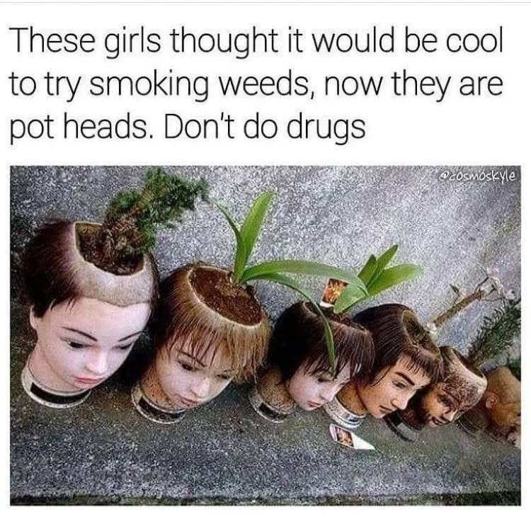 1750844474452.jpeg