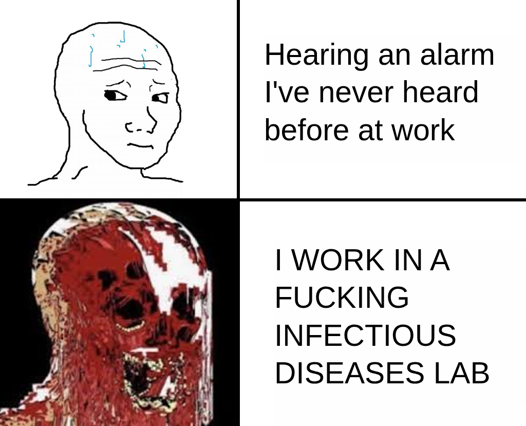 1751042097753.png