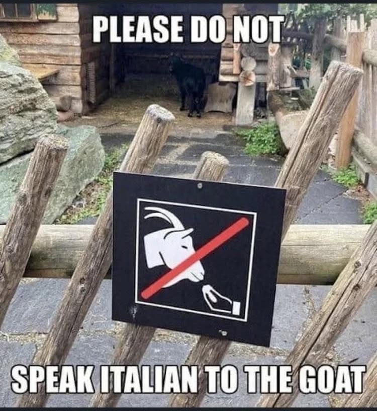 1751095928910.jpeg