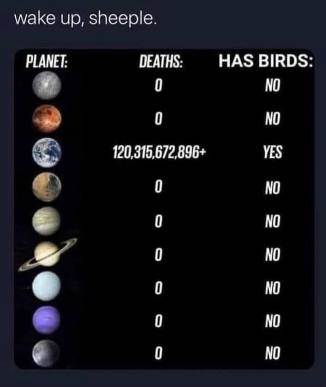 1751147033050.jpeg