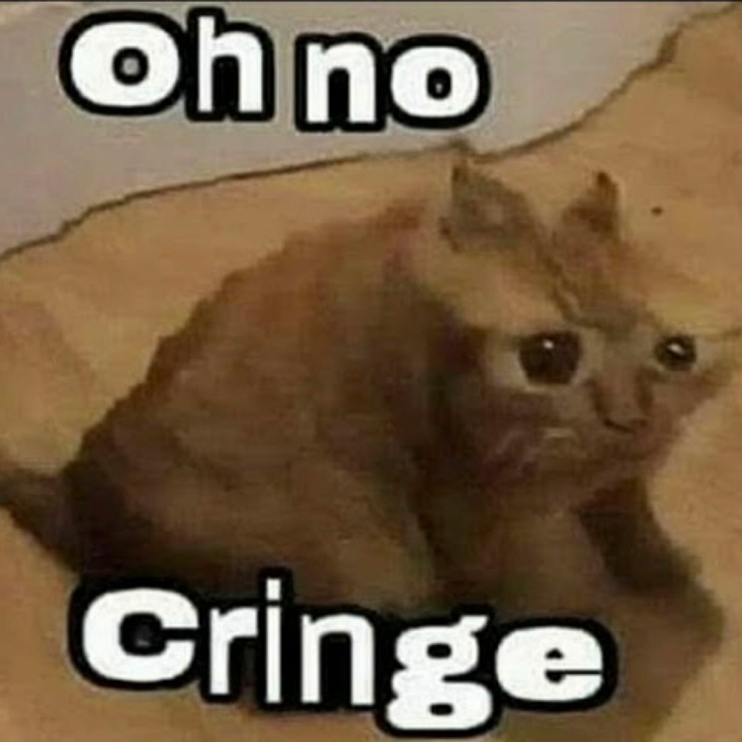 1751209013157.jpeg