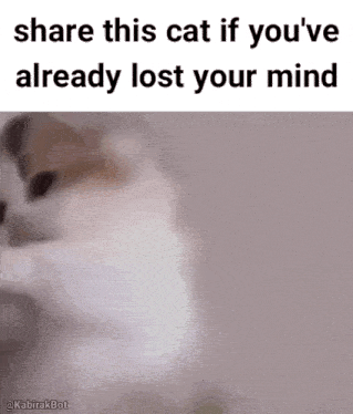 1751222901582.gif