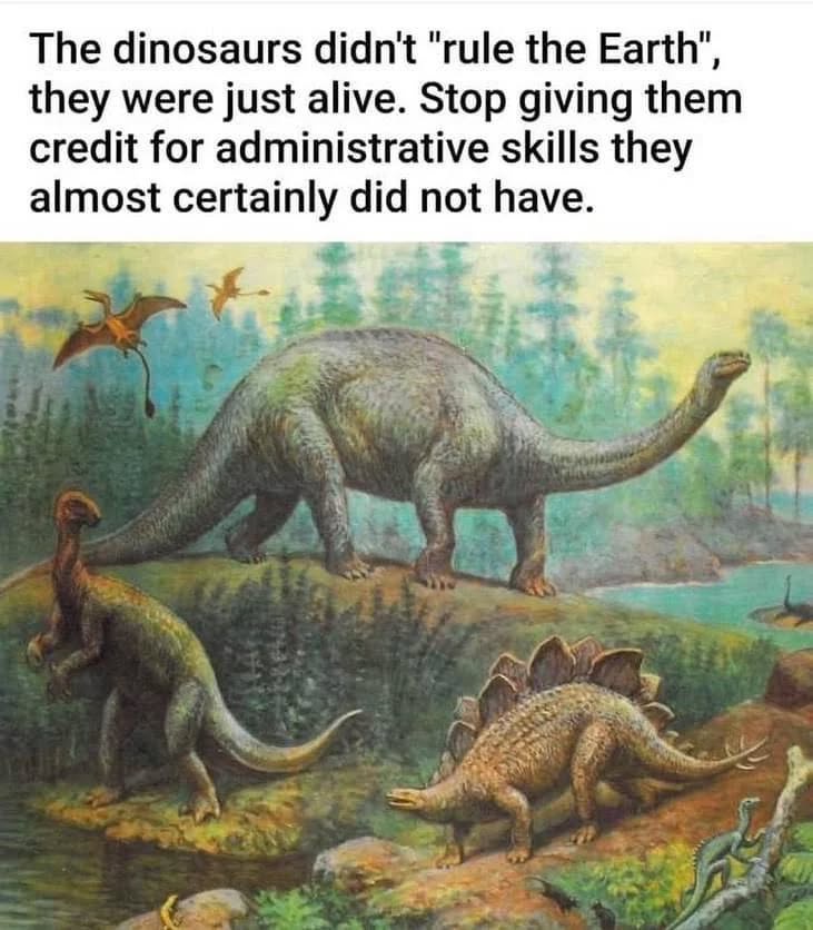 1751225259395.jpeg
