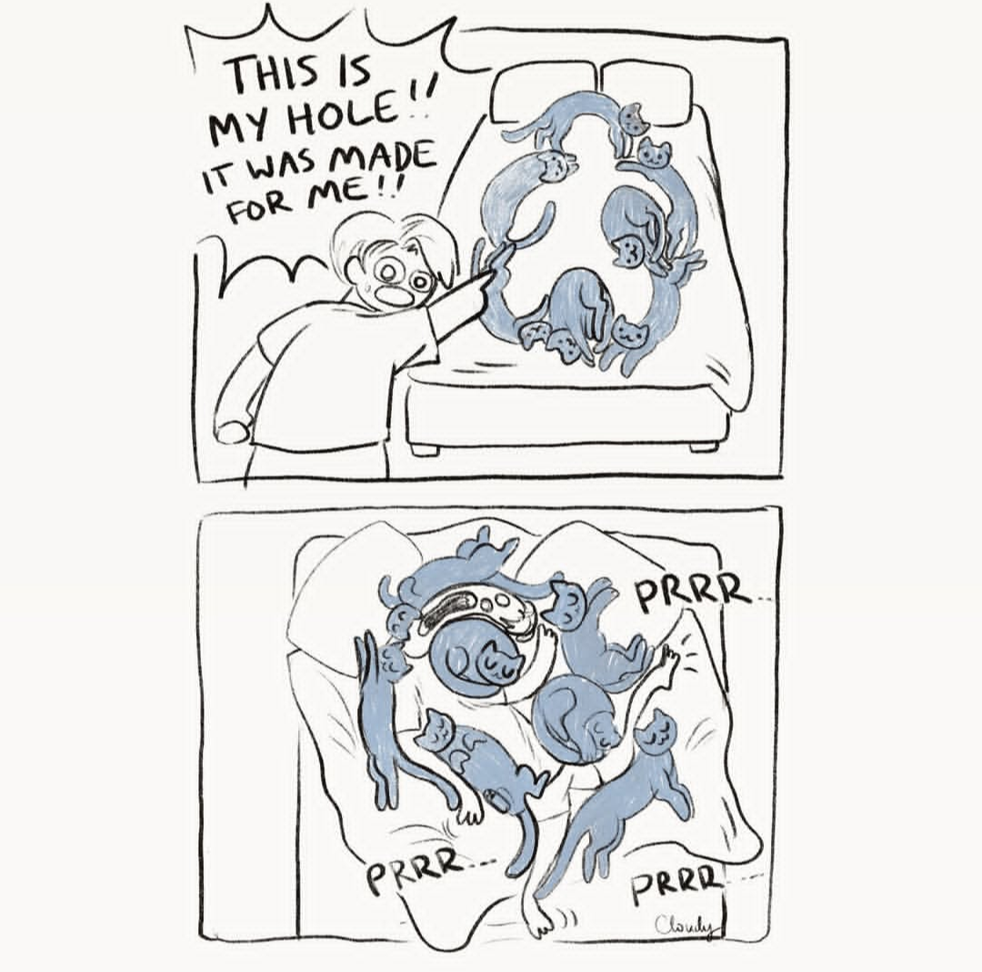 1751293506538.png