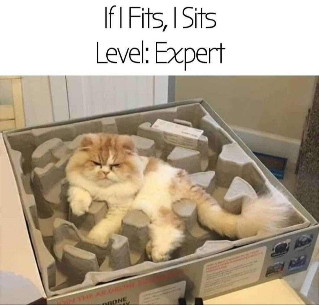 1751298585255.jpeg