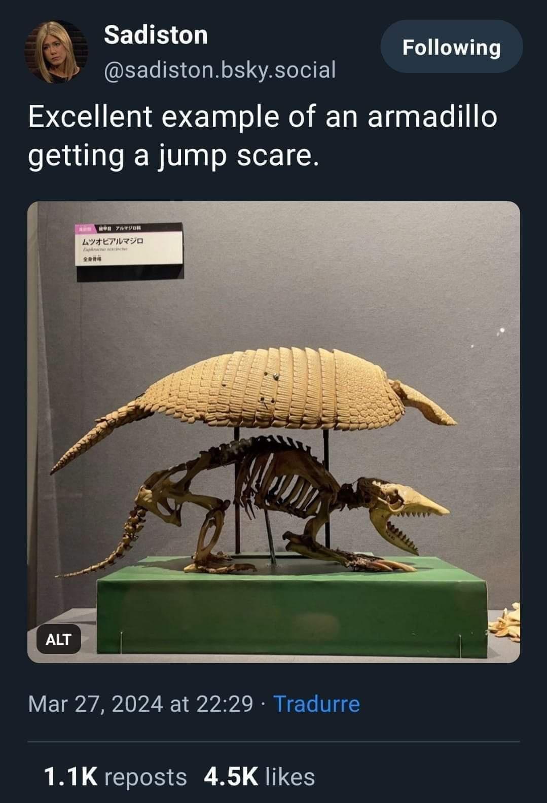 1751303922458.jpeg