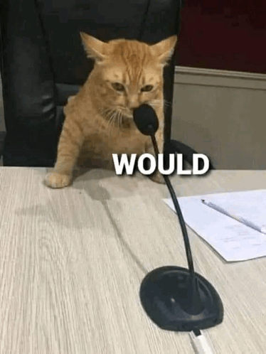 1751326323686.png