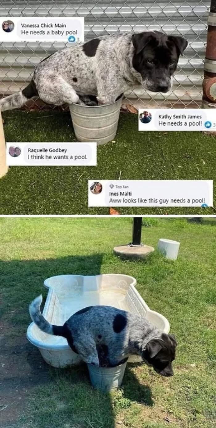 1751473915576.jpeg
