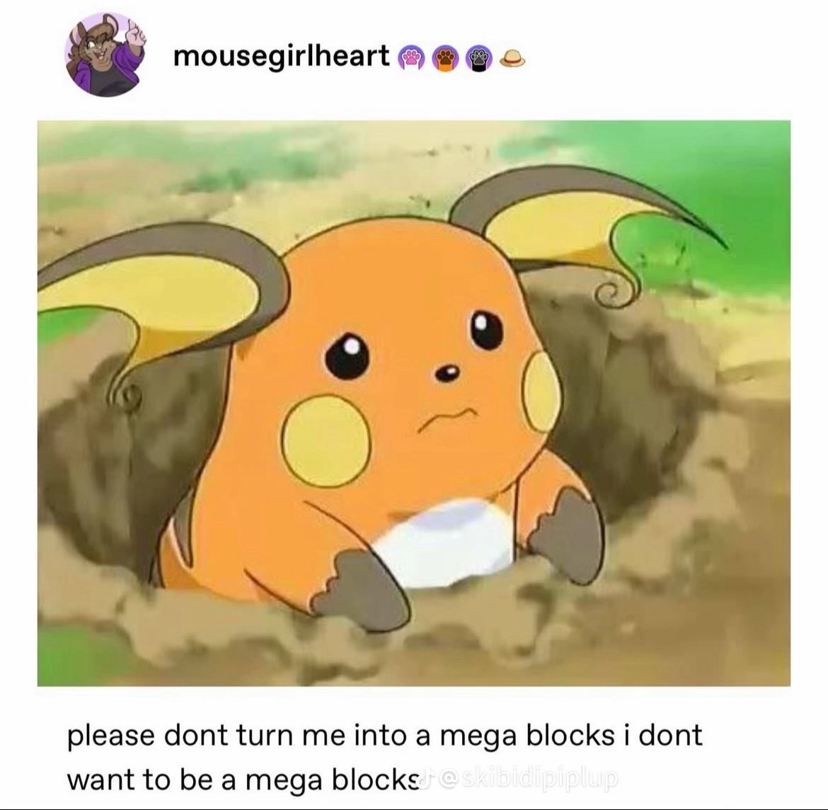 1751731608517.jpeg