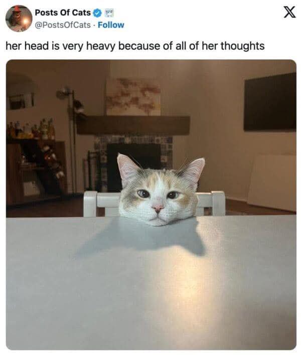 1751956805830.jpeg