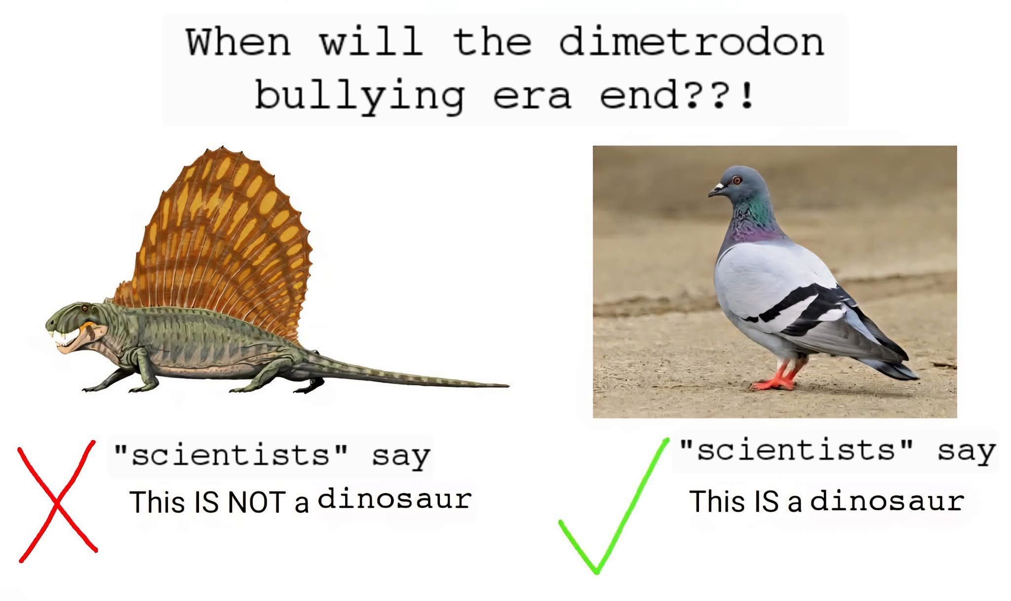 1752273565411.png